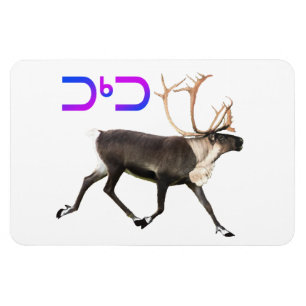 トゥクトゥカリブー マグネット
