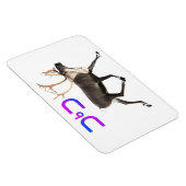 トゥクトゥカリブー マグネット (右側)