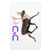 トゥクトゥカリブー マグネット (縦)