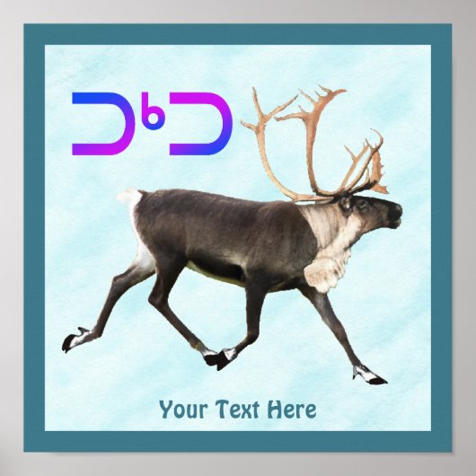 トゥクトゥー – カリブオンスノー ポスター (正面)