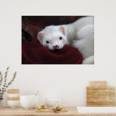 トゥシャンタはビエン… ポスター (キッチン)