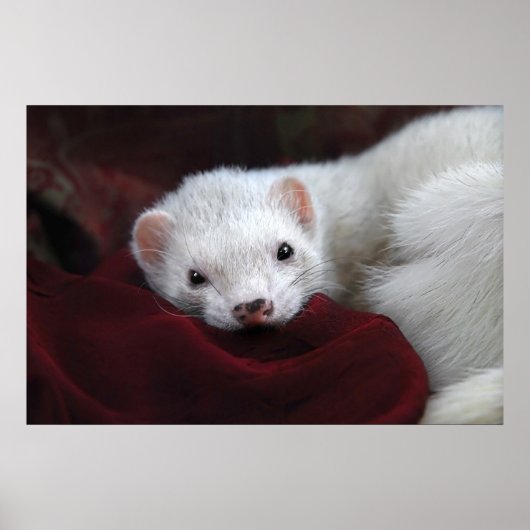 トゥシャンタはビエン… ポスター (正面)