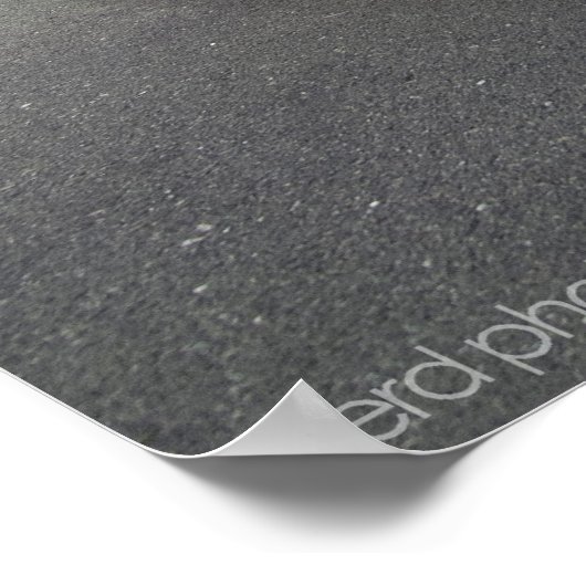 トゥス370z ポスター (角)