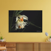 トゥニア・マーシャリアナ キャンバスプリント (インサイチュ (リビング))