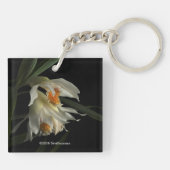 トゥニア・マーシャリアナ キーホルダー (裏面)