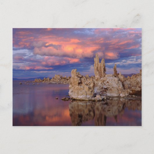 トゥファのフォーメーションMono Lake ポストカード (正面)