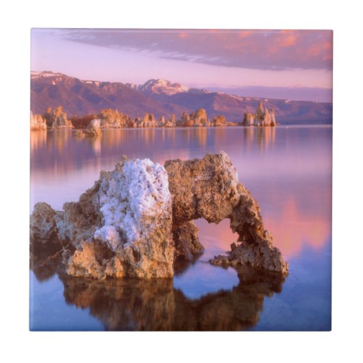 トゥファアーチアットモノレイク タイル (正面)