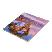 トゥファアーチアットモノレイク タイル (側面)