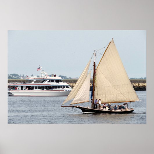 トゥペロハニー ポスター (正面)