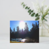 トゥマロ州パーク ポストカード (スタンド正面)