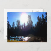 トゥマロ州パーク ポストカード (正面/裏面)