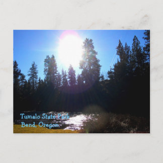 トゥマロ州パーク ポストカード