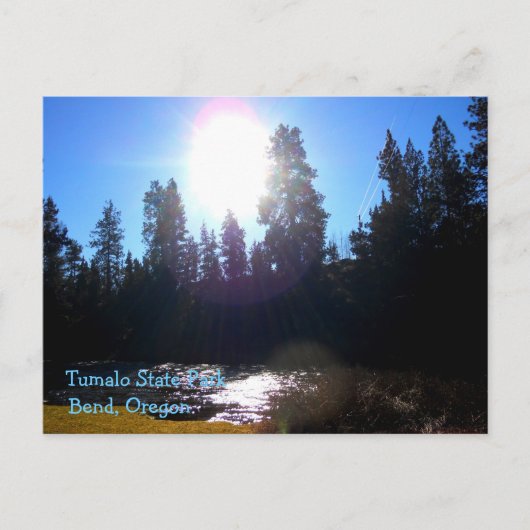 トゥマロ州パーク ポストカード (正面)