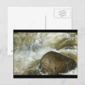 トゥムルテドゥラヴェン・ブレターニュ ポストカード (正面/裏面)