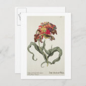 トゥリパMonstrosa Rubra Maiorから'フィタントサIc ポストカード (正面/裏面)