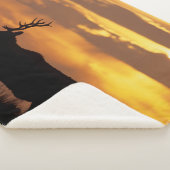 トゥルエルク |ポイントレイエス国立海岸 シェルパブランケット (3/4)