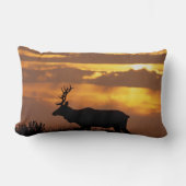 トゥルエルク |ポイントレイエス国立海岸 ランバークッション (正面)