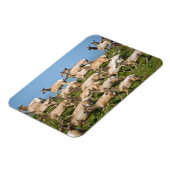 トゥルエルク| Point Reyes National Seashaward, CA マグネット (左側)