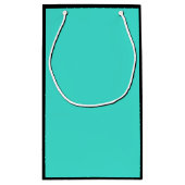 トゥルターコイズブルーグリーン南西無地の色 スモールペーパーバッグ (裏面)