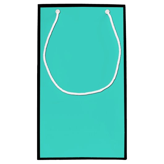 トゥルターコイズブルーグリーン南西無地の色 スモールペーパーバッグ (裏面)