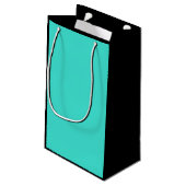 トゥルターコイズブルーグリーン南西無地の色 スモールペーパーバッグ (裏面アングル)