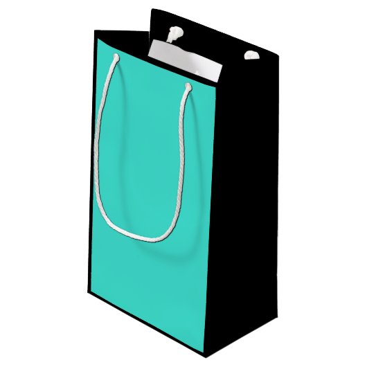 トゥルターコイズブルーグリーン南西無地の色 スモールペーパーバッグ (裏面アングル)