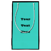 トゥルターコイズブルーグリーン南西無地の色 スモールペーパーバッグ (正面)