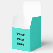 トゥルターコイズブルーグリーン南西無地の色 フェイバーボックス (オープン)