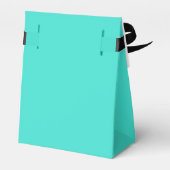 トゥルターコイズブルーグリーン南西無地の色 フェイバーボックス (裏面サイド)