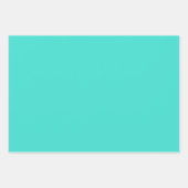 トゥルターコイズブルーグリーン南西無地の色 ラッピングペーパーシート (正面)