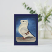 トゥルビットピジョン1979 ポストカード (スタンド正面)