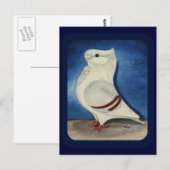 トゥルビットピジョン1979 ポストカード (正面/裏面)