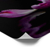 トゥルペンツァウバーインローザ ポスター (角)