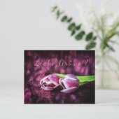 トゥルペン粥 ポストカード (スタンド正面)