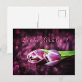 トゥルペン粥 ポストカード (正面/裏面)