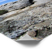 トゥルムネメドウズパノラマfromフェアビュードーム – ヨス ポスター (角)