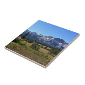 トゥルムネメドウズ、ヨセミテ、カリフォルニア州 タイル (側面)