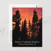 トゥルムネメドウズ、ヨセミテ、CAポストカードの夕日 ポストカード (正面/裏面)