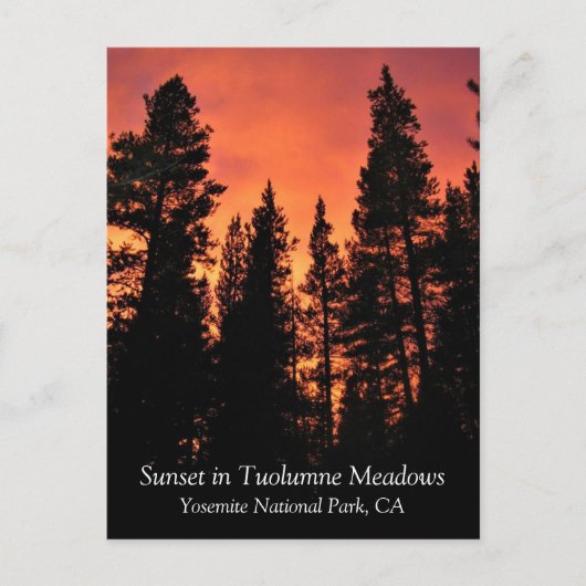 トゥルムネメドウズ、ヨセミテ、CAポストカードの夕日 ポストカード (正面)