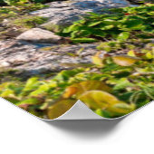 トゥルムビーチ ポスター (角)