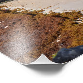 トゥルムマヤン遺跡のビューメキシコ旅行記念品 フォトプリント (角)