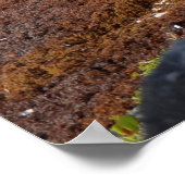 トゥルムマヤン遺跡メキシコ旅行記念品 ポスター (角)