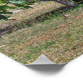 トゥルム遺跡 ポスター (角)