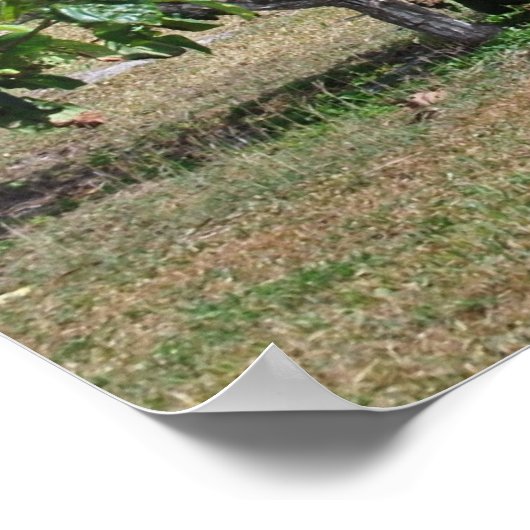 トゥルム遺跡 ポスター (角)