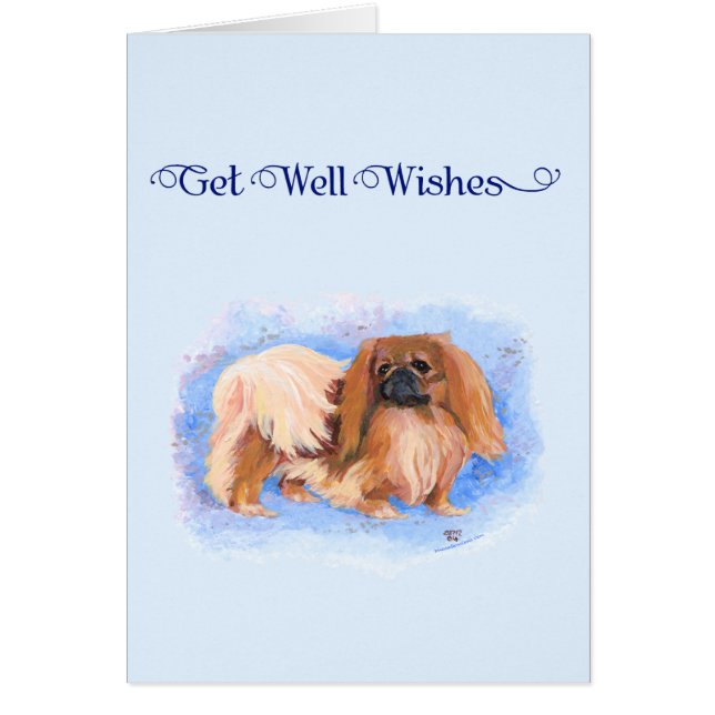 トゥルーブルーペキン (正面)