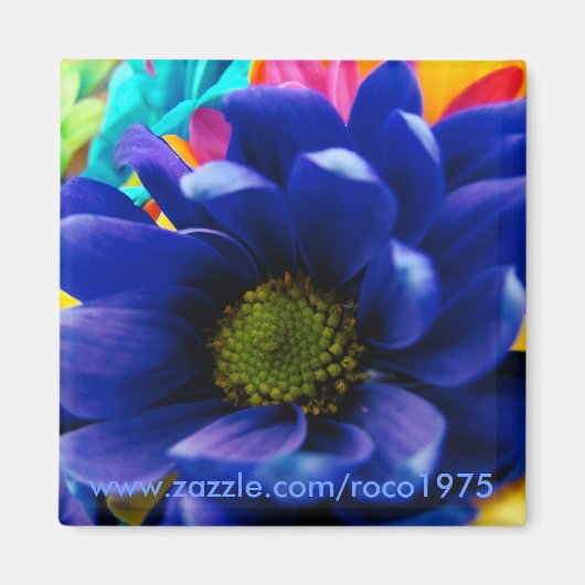 トゥルーブルー?! マグネット (正面)