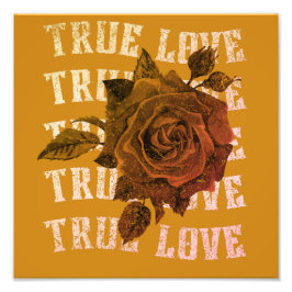 トゥルーラブバラロマンチックバレンタインデーB&W フォトプリント           