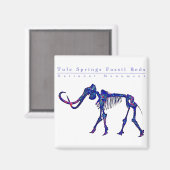 トゥレ春化石ベッド国定記念碑 マグネット (正面/裏面)