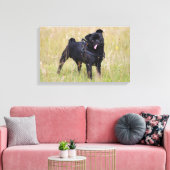 トゥンジに突き出たブラックパグ キャンバスプリント (インサイチュ (リビング))
