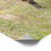 トゥンジに突き出たブラックパグ ポスター (角)